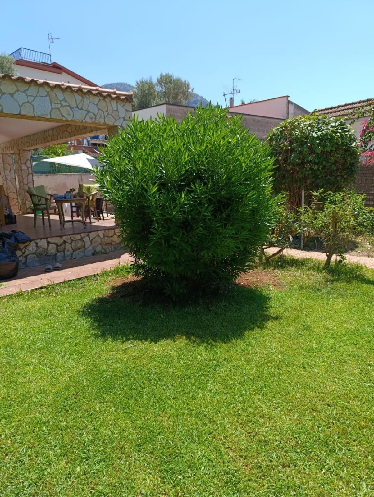 Casa In Giardino A Pochi Passi Dal Mare Villa Palermo Dış mekan fotoğraf